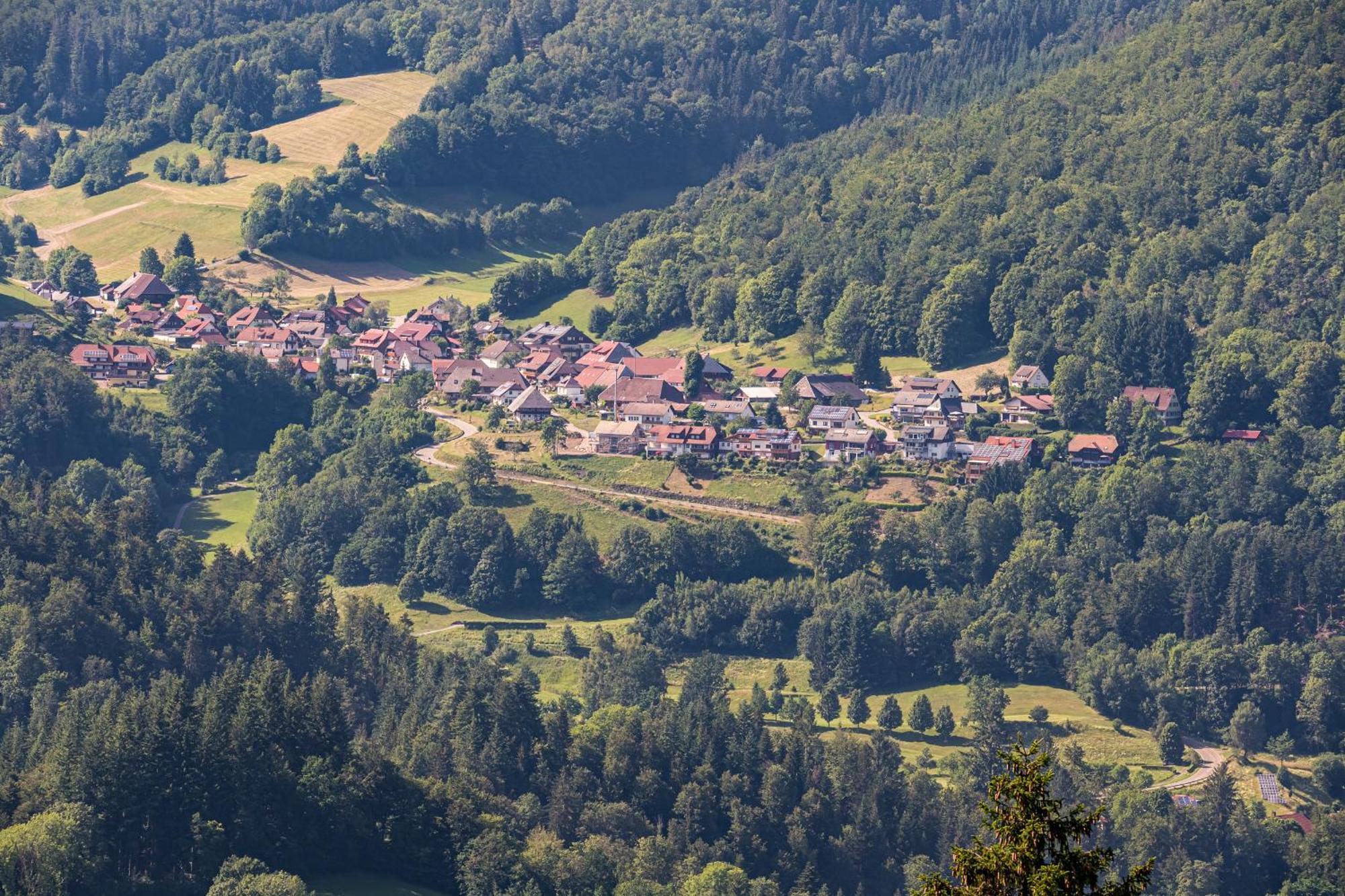 Ferienwohnung Belchenliebe Schonenberg Exteriör bild