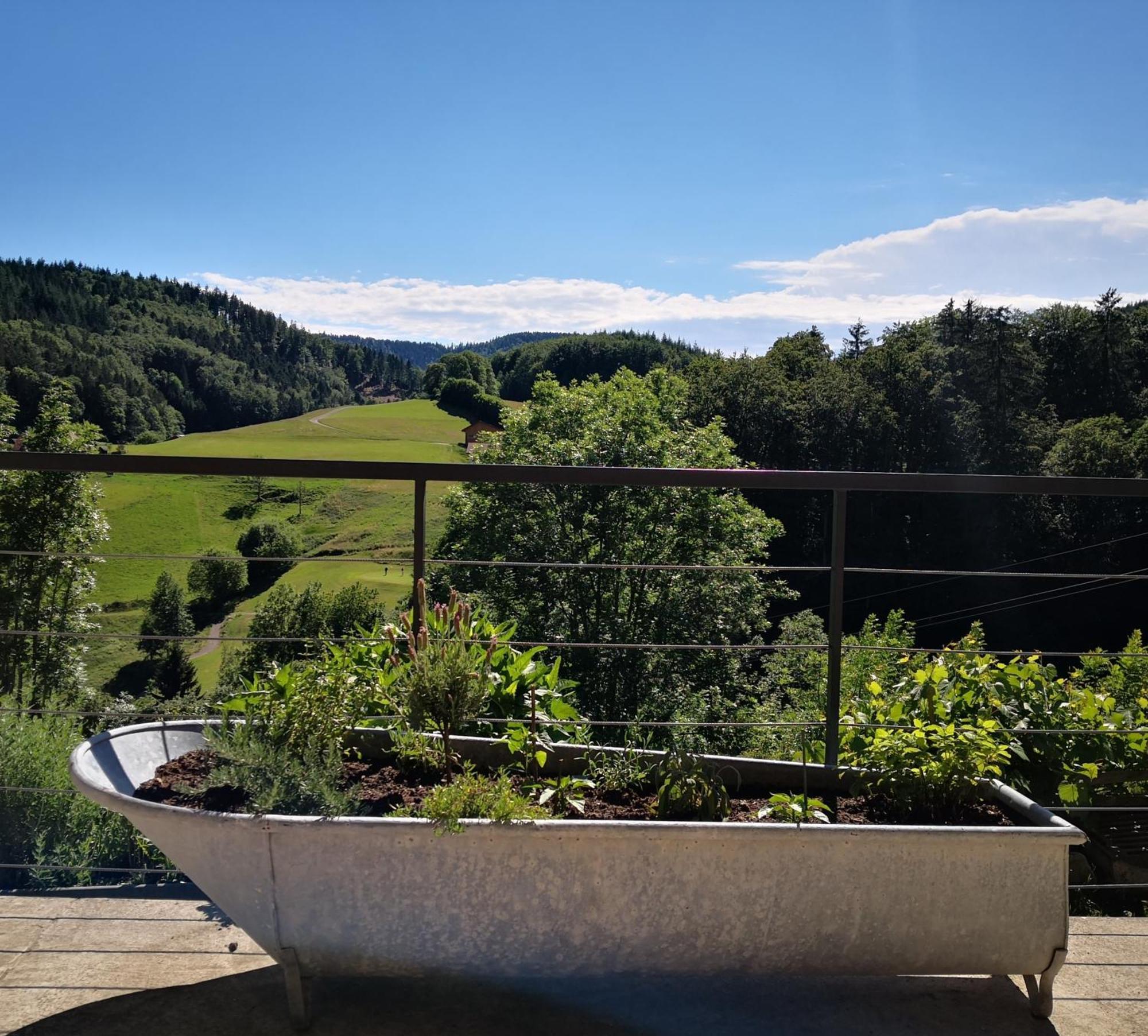 Ferienwohnung Belchenliebe Schonenberg Exteriör bild